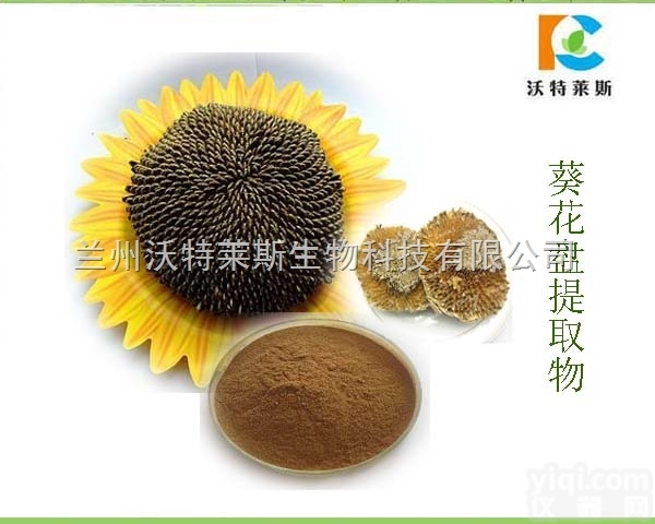 粉末  葵花盘提取物 <em>向日葵</em>花盘浓缩粉 10:1 20:1 30:1