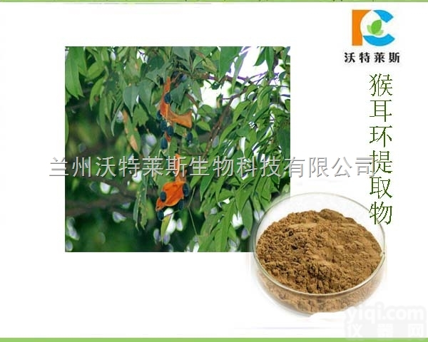 <em>粉末</em>  猴耳环<em>提取物</em> 草<em>提取物</em> 厂家直销1公斤包邮