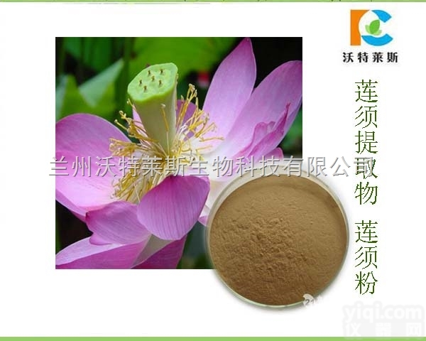 <em>粉末</em>  莲须<em>提取物</em> 10:1 20:1 莲花须<em>提取物</em>