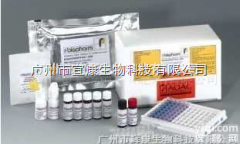 诺如病毒（<em>诺瓦克</em>）抗原快速<em>检测卡</em>