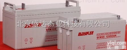 白城柏克蓄电池6FM38<em>机房</em>12V38AH<em>厂家</em>销售