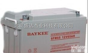 <em>上海</em>柏克<em>蓄电池</em>6FM40机房12V40AH<em>厂家</em>直销