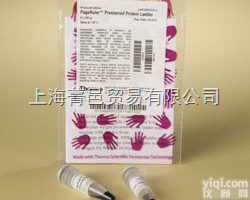 26625（SM1851）Spectra Multicolor Hig...