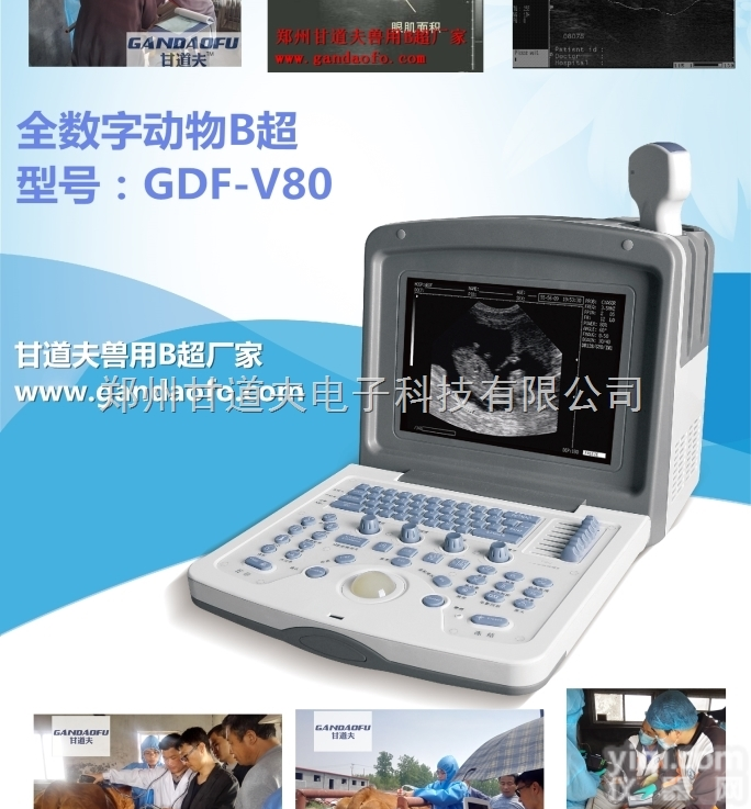 牛用B超今日<em>价格</em>，牛用B超<em>厂家</em><em>报价</em><em>价格</em>