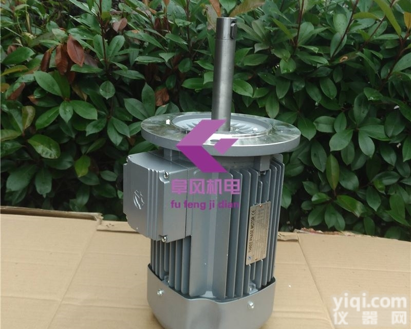 <em>非标</em><em>长轴</em><em>电机</em>