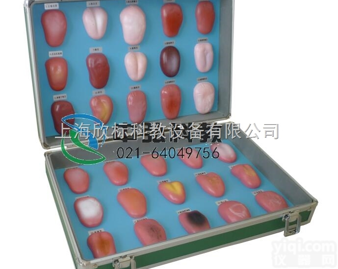 XB-ST006  正常舌苔及各种疾病在舌苔上的病态变化<em>症状</em><em>模型</em>