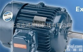 056C17W15326  原装进口<em>美国</em>marathon<em>电动机</em>