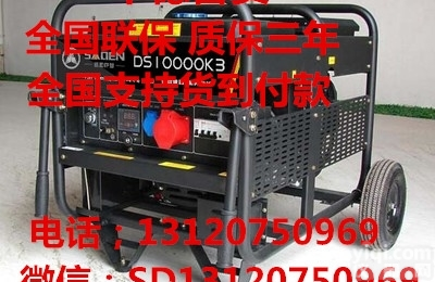 DS10000K3  <em>萨登</em>10KW<em>开架式</em>柴油发电机380V充电