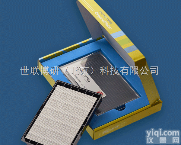 mimetas器官<em>芯片</em>  <em>现货</em>mimetas OrganoPlate<em>芯片</em>OrganoPlate