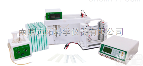 JY-TD331A  变性<em>梯度</em><em>凝胶电泳</em>系统
