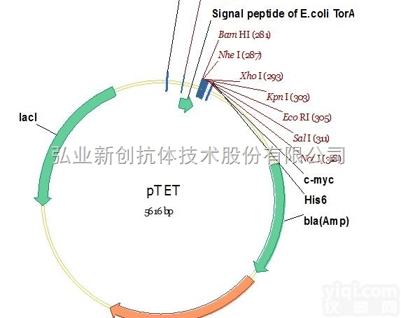 V01053  必拓生物pTET<em>载体</em>，pTET vector，质粒<em>载体</em>