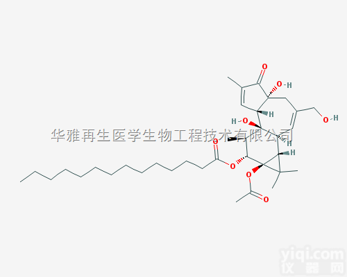 1652981  BioGems 佛波酯 PMA 流式淋巴细胞<em>刺激剂</em>
