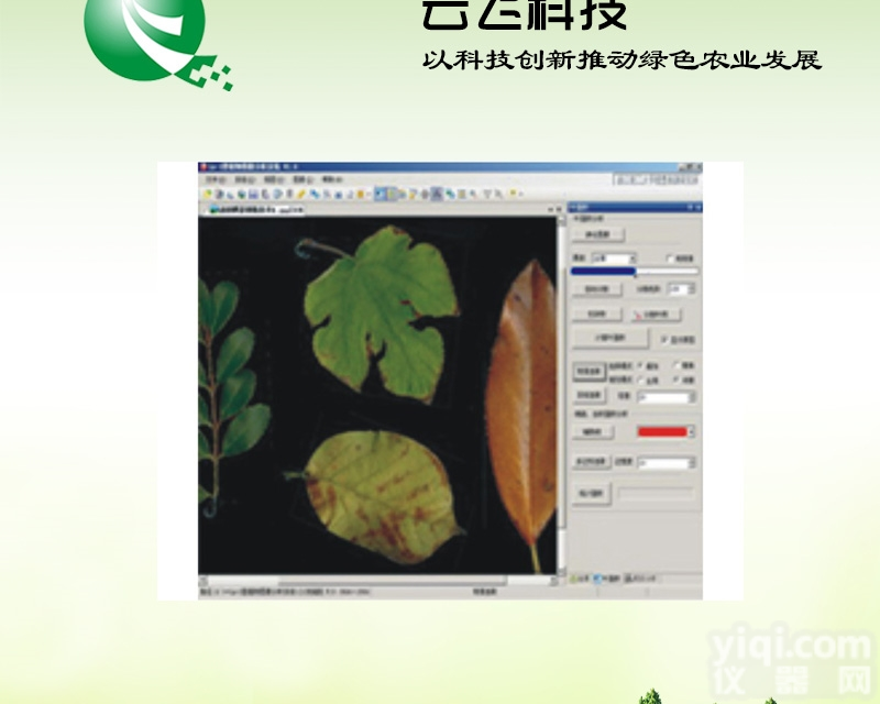 TX-1000  植物图像分析仪系统质量<em>咋样</em>|价格|<em>云飞</em>科技
