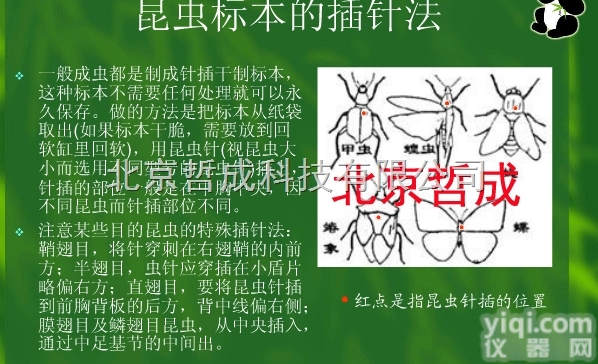 XZC  <em>变色硅胶</em><em>干燥剂</em>