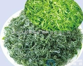 粉末  极大<em>螺旋藻</em><em>提取物</em> 10：1 20:1 多种提取规格