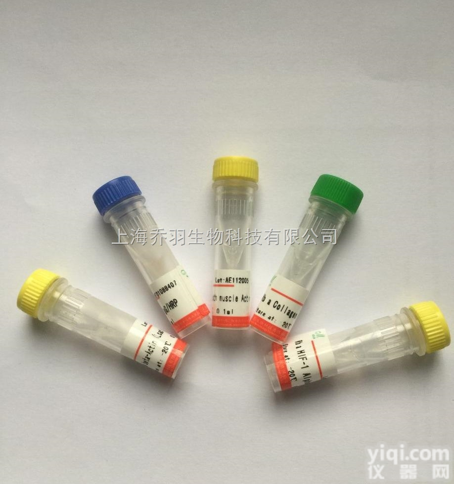 过<em>氧化</em>物酶酰基<em>辅酶</em>A<em>氧化</em>酶1抗体<em>价格</em>