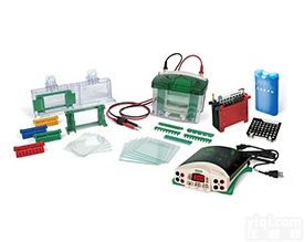 1658033  Bio-rad/<em>伯乐</em><em>电泳槽</em>1658033现货