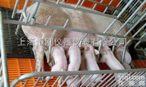 <em>畜牧</em>秤  动态电子<em>畜牧</em>秤，3T<em>畜牧</em><em>电子秤</em>