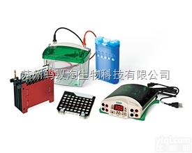 <em>伯乐</em>/小型 Mini Trans-Blot® <em>转印</em>槽/<em>现货</em>