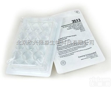 <em>3513</em>  康宁12孔细胞<em>培养</em>板 货号<em>3513</em>