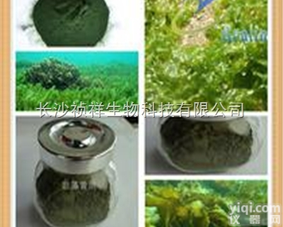 <em>482</em>-<em>36</em>-0  <em>金丝</em>桃苷植物提取物<em>482</em>-<em>36</em>-0