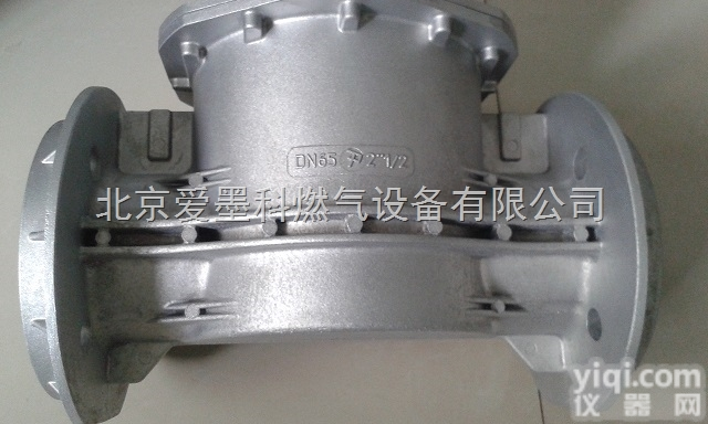 <em>意大利</em><em>菲奥</em>10609/10608天然气过滤器