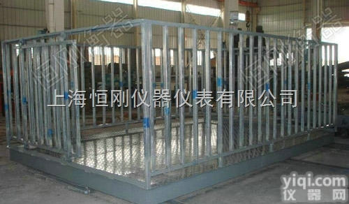 养殖场肉猪肉牛动物秤，称猪称牛重量动物称