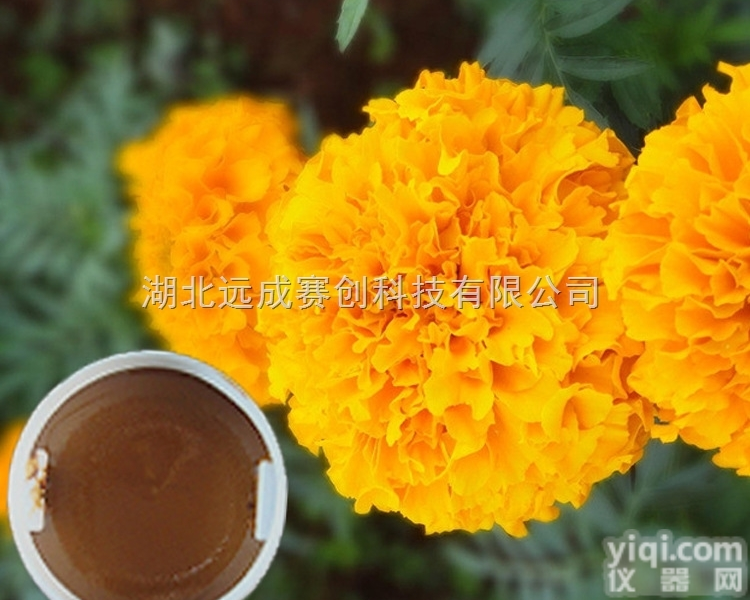 <em>82104</em>-74-3  医药原料5-<em>氰基</em>苯酞CAS号<em>82104</em>-74-3