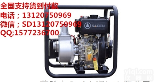 DS100DPE  SADEN萨登4寸<em>柴油</em>清<em>水泵</em>抽<em>柴油</em>多少钱