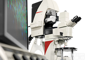 德国徕卡 TCS SP8 MP 多<em>光子</em>共<em>聚焦</em>显微镜