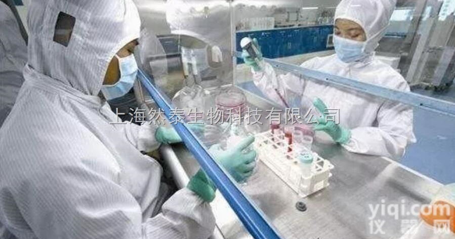 人肺<em>腺癌</em><em>细胞系</em>  人肺<em>腺癌</em>细胞