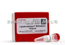 13778075  Lipofectamine® RNAiMAX  Invitr...
