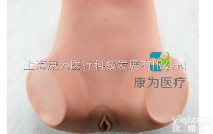OG6163  妇科训练仿真<em>模型</em>|<em>妇婴</em>专科技能训练<em>模型</em>