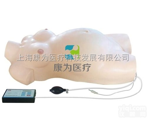 OG6142  孕<em>妇产科</em>检查<em>电子</em>标准化病人