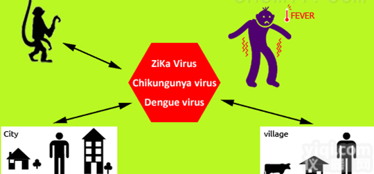 湘潭疾控  <em>湘潭市</em>疾病预防控制ZX