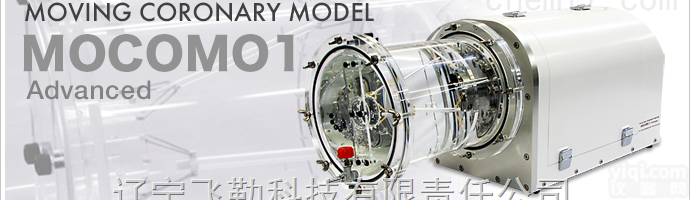 MOCOMO 1  动态<em>冠状动脉</em><em>模型</em>