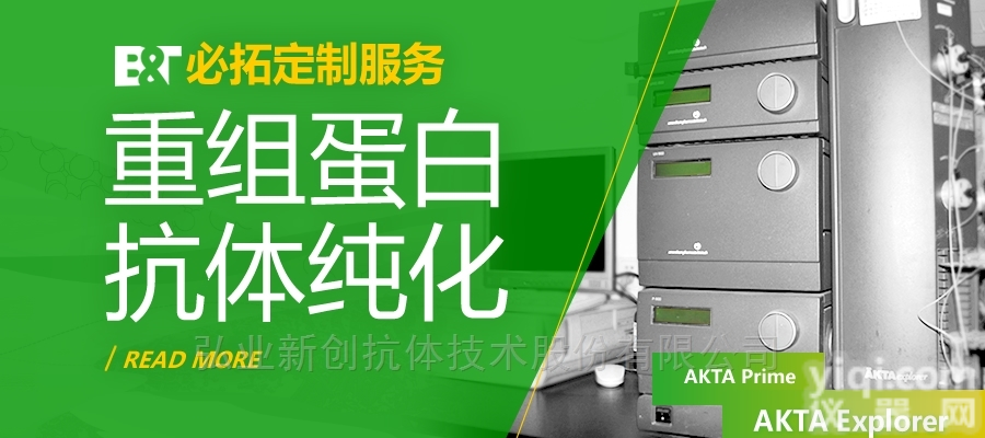 必拓  <em>重组</em>蛋白<em>纯化</em>/抗体<em>纯化</em><em>技术服务</em>