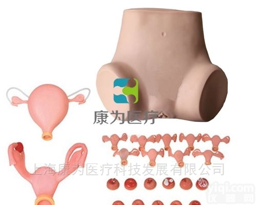 OG6116  <em>高级妇科检查模型</em>|妇婴专科技能训练模型