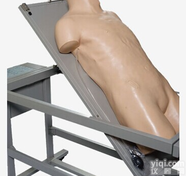 KAH/L260A  综合<em>穿刺术</em>与<em>叩诊</em>检查<em>技能</em>训练模拟人