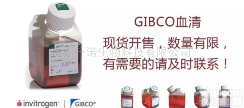 Gibco26140-079优等胎牛<em>血清</em>FBS<em>现货</em><em>促销</em>