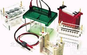 Bio-Rad<em>伯乐</em>  各种型号水平垂直<em>电泳槽</em>、<em>电泳仪</em>、电穿孔仪