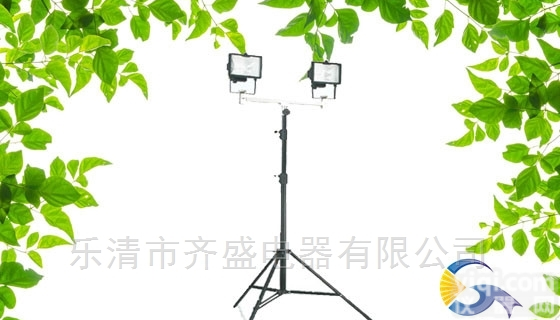 <em>YF2500</em>  齐盛<em>YF2500</em>,<em>YF2500</em><em>轻便</em><em>泛光灯</em>