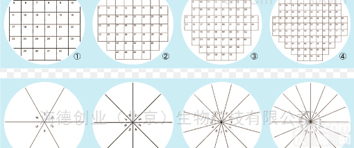 <em>培养皿</em>贴片（通用<em>耗材</em>）