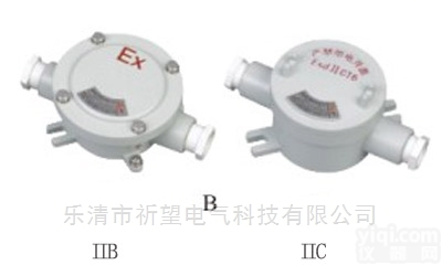 <em>BHD</em>  <em>BHD</em><em>防爆</em><em>接线盒</em>