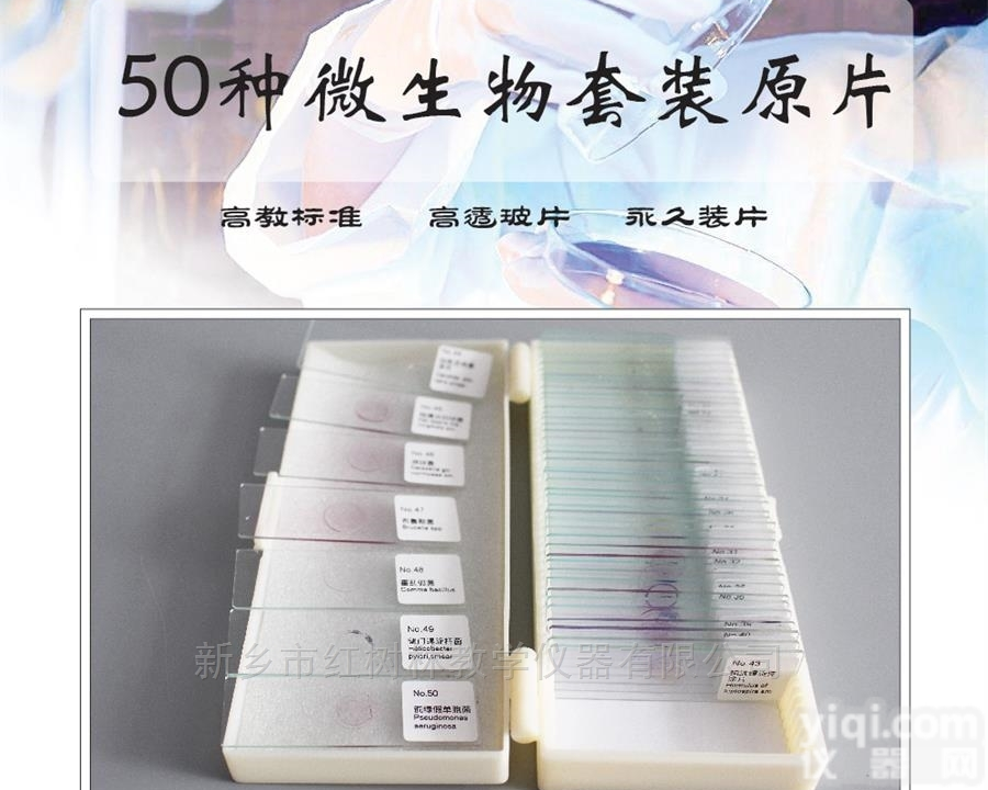 <em>标本</em>切片  50种典型<em>细菌</em>真菌霉菌生物医学微生物<em>标本</em>