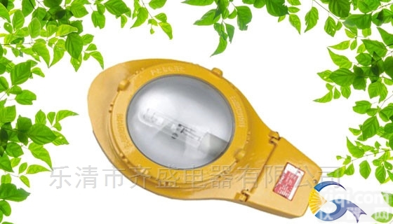 FL-521（<em>图片</em>）防爆<em>道路</em>灯