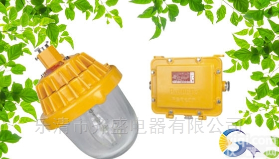 <em>SW8300  SW8300防爆平台灯</em>/尚为