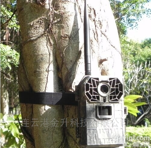 批发AM-999V<em>野生动物</em>红外监控<em>摄像机</em>
