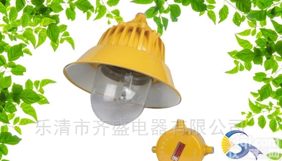 BYC6218A高亮度防爆<em>道路灯</em>,电厂<em>照明</em>灯