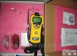 美国<em>华瑞</em>有<em>毒气</em>体检测仪PGM-1600
